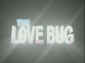LoveBug97 (1).jpg (24645 bytes)